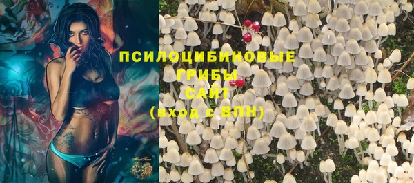 apvp Белоозёрский
