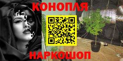 spice Канаш