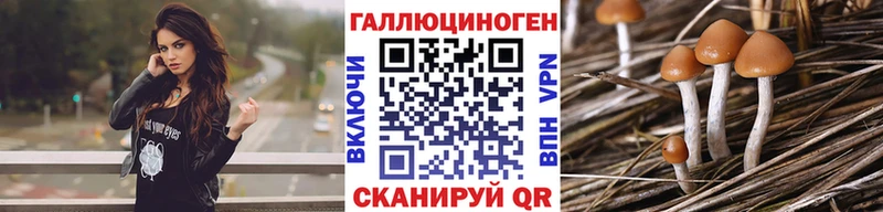 наркошоп  Мурманск  Псилоцибиновые грибы Cubensis 