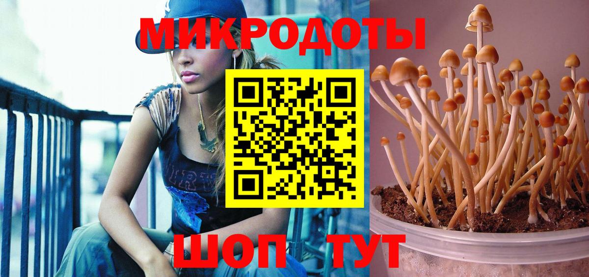 Галлюциногенные грибы прущие грибы Мурманск