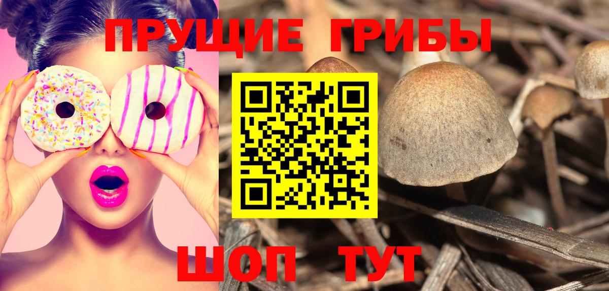 Галлюциногенные грибы Psilocybe  купить  цена  Мурманск  Вход с VPN 